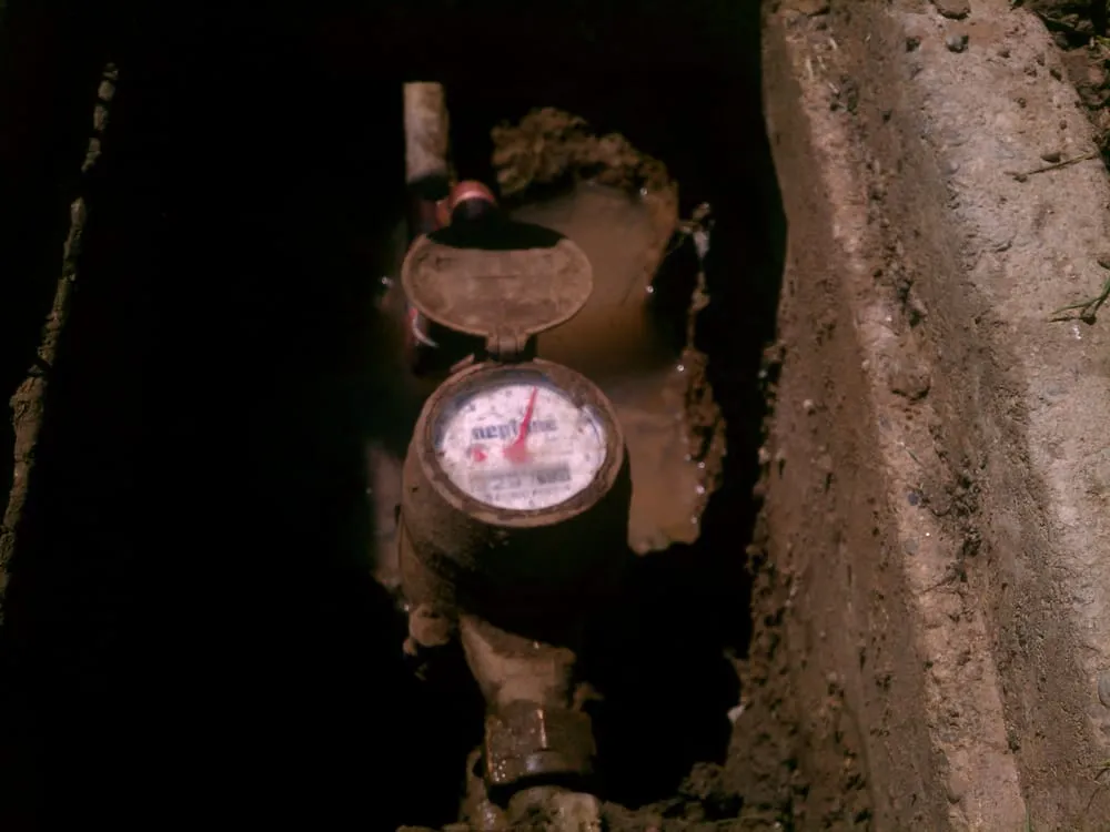 Slide of Rocky Rooter