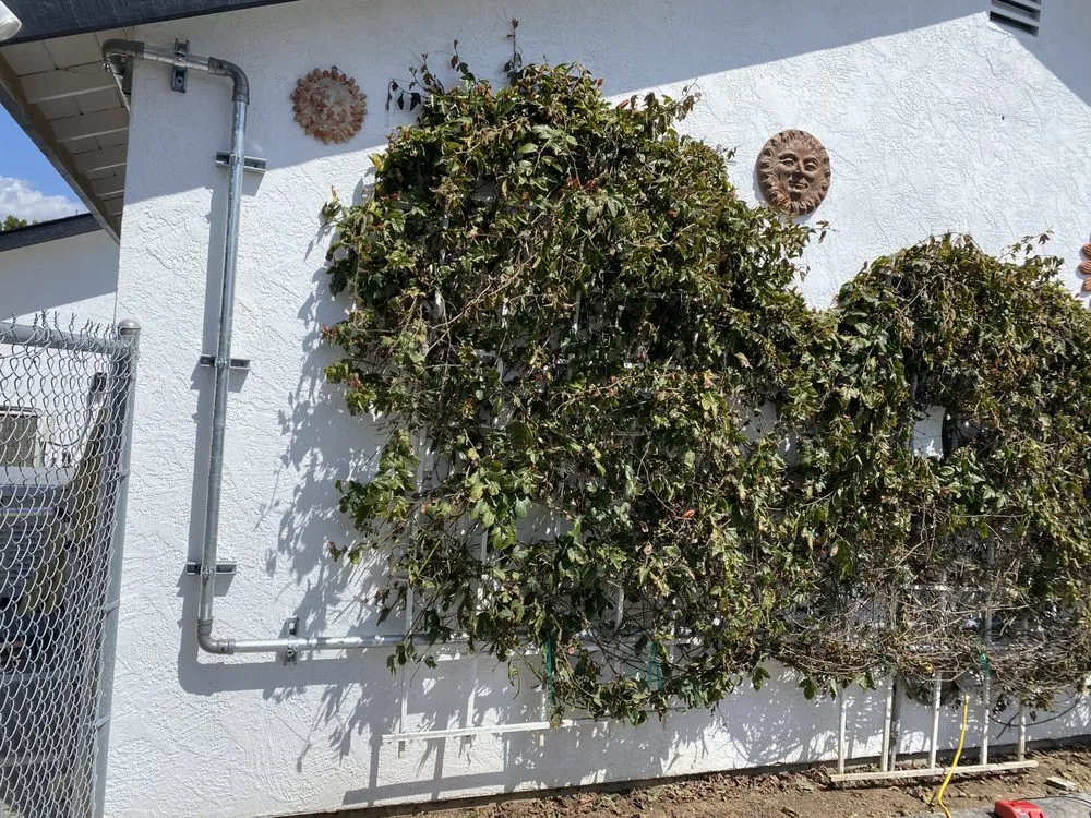 Slide of Rodarte Plumbing & Drains