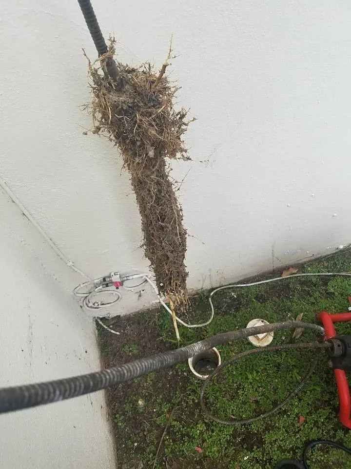 Slide of Rodriguez Drain and Plumbing