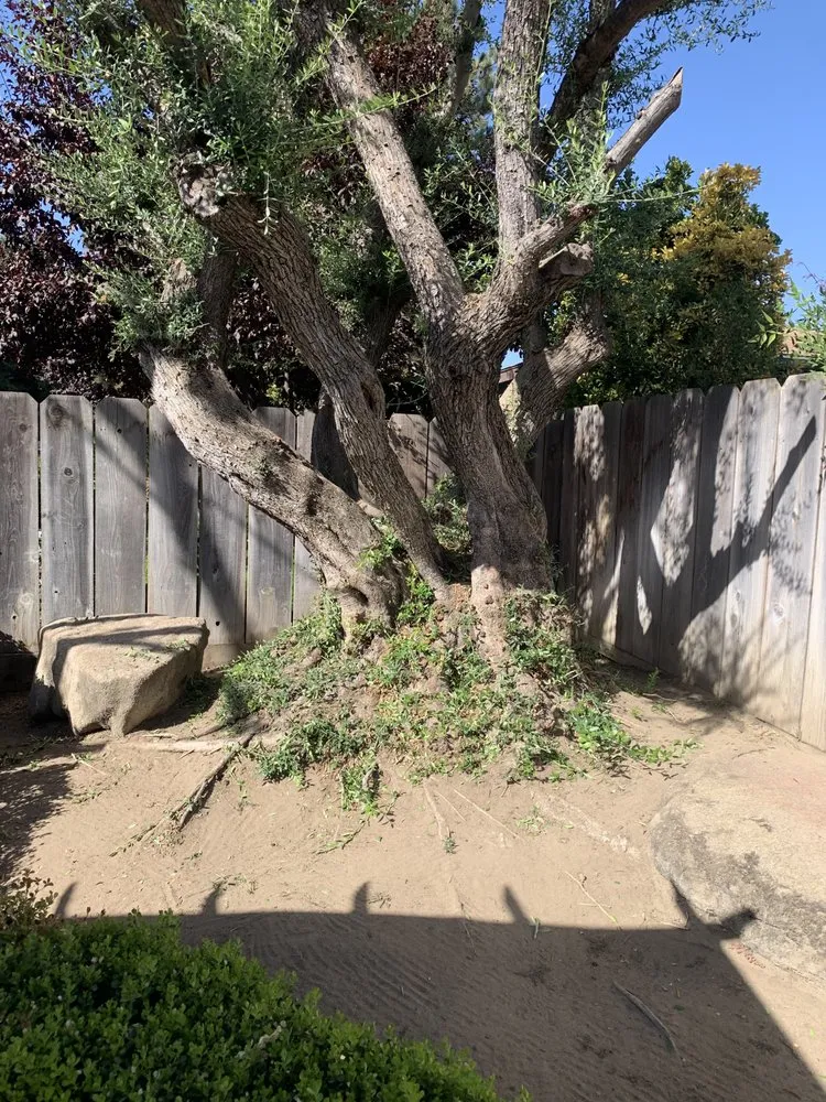 Slide of Rodriguez Handy Works