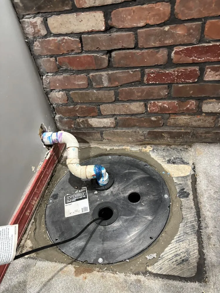 Slide of Rodri’s Rooter