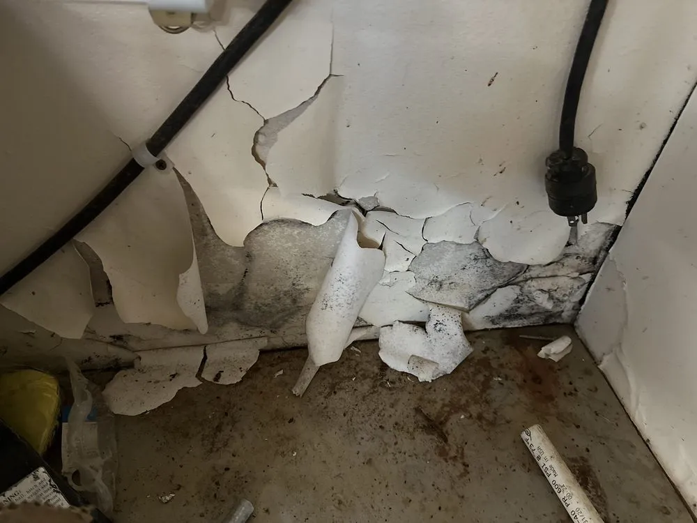 Slide of Roger Miller's Plumbing