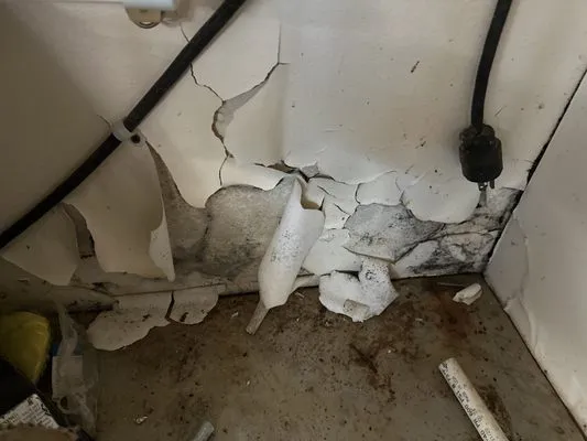 Roger Miller's Plumbing