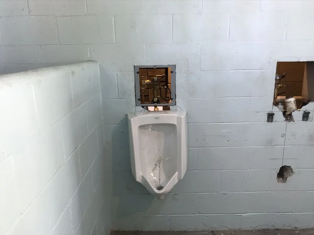 Slide of Roger Rooter