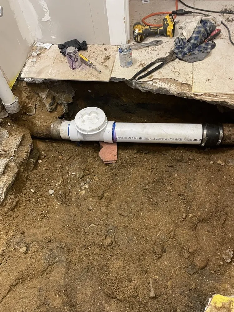 Slide of Roger Rooter