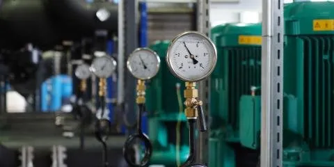 Slide of Roger Schweitzer & Sons