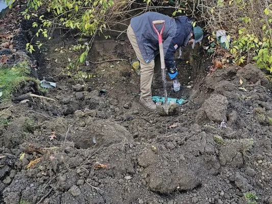 Rogers Drain Solutions