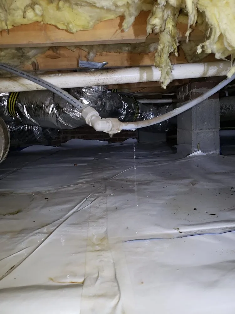 Slide of Rogers Plumbing Services