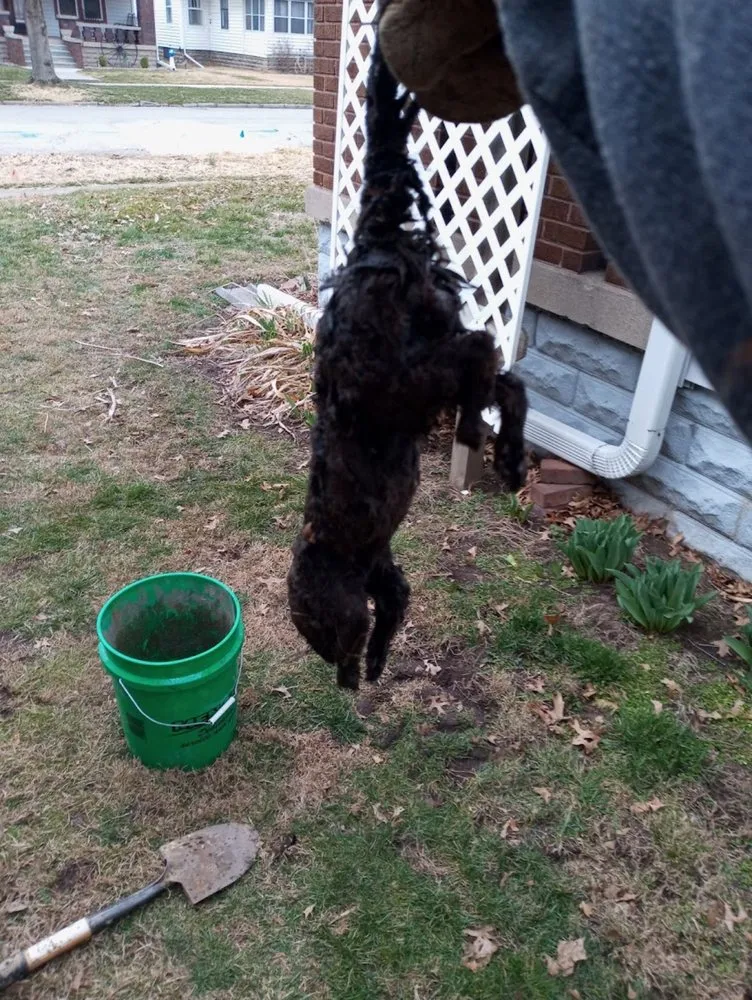 Slide of Rogers Sewer & Drain Cleaning Service