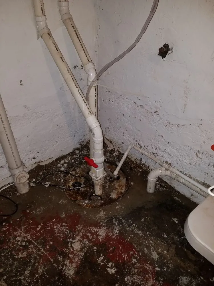 Professional drain cleaning in Crystal Lake, IL by Rogue Plumbing Corporation