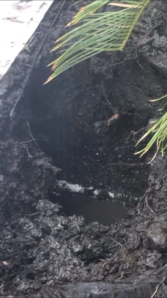 Slide of Roket Plumbing & Backflow