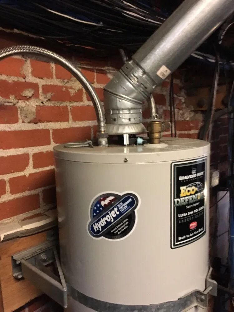 Slide of Roma Rooter