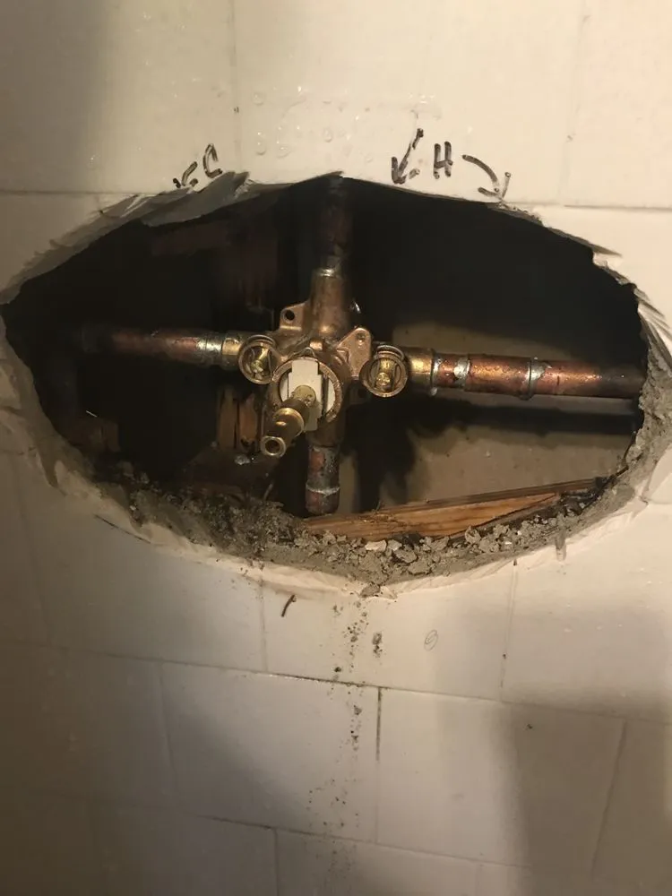 Slide of Roma Rooter