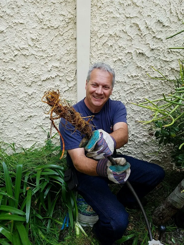 Slide of Roma Rooter