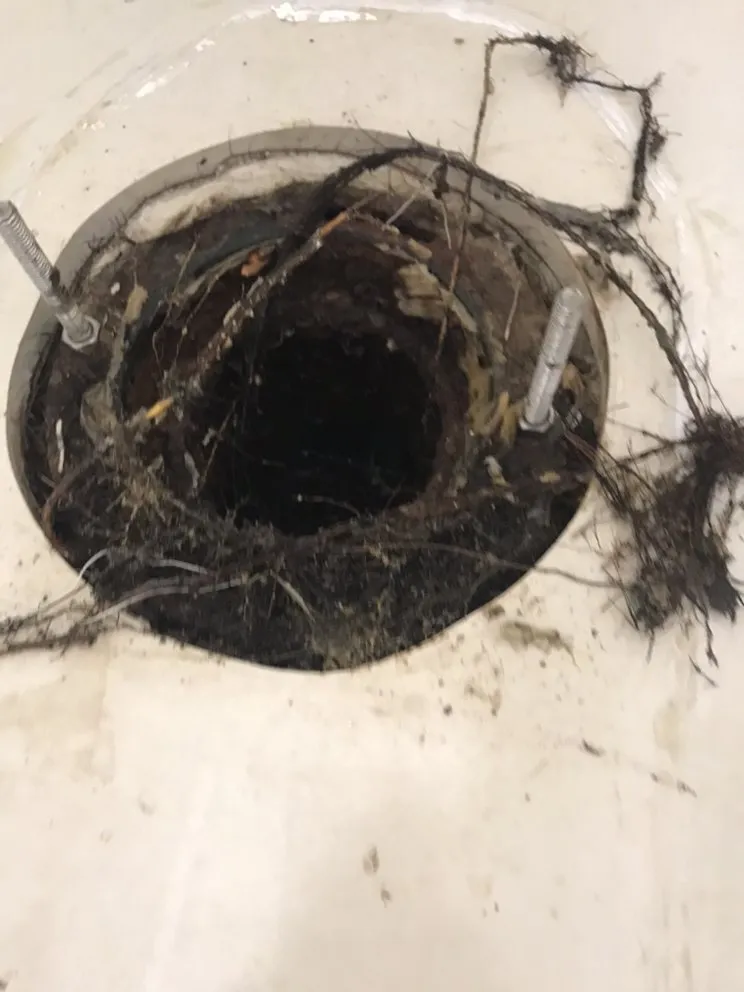 Slide of Roma Rooter