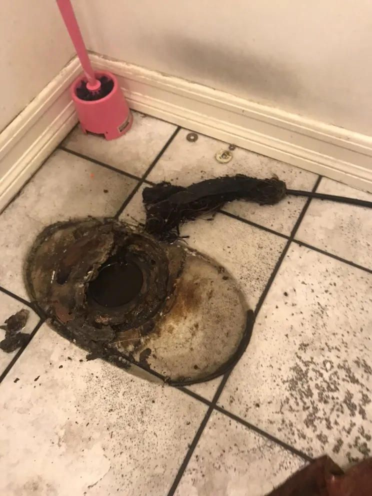 Slide of Roma Rooter