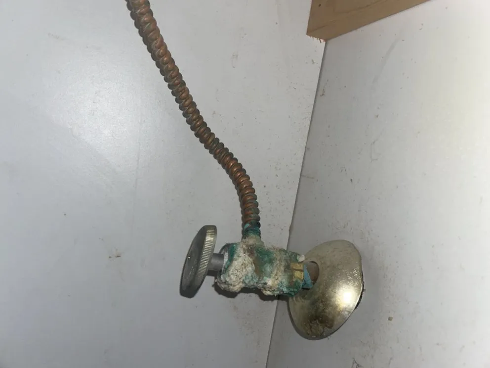 Top-rated leak detection in Long Beach, CA by Roman Plumbing & Heat