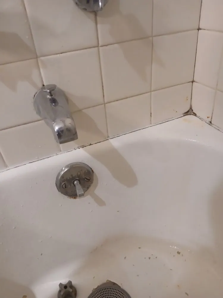 Slide of Roman Ranger