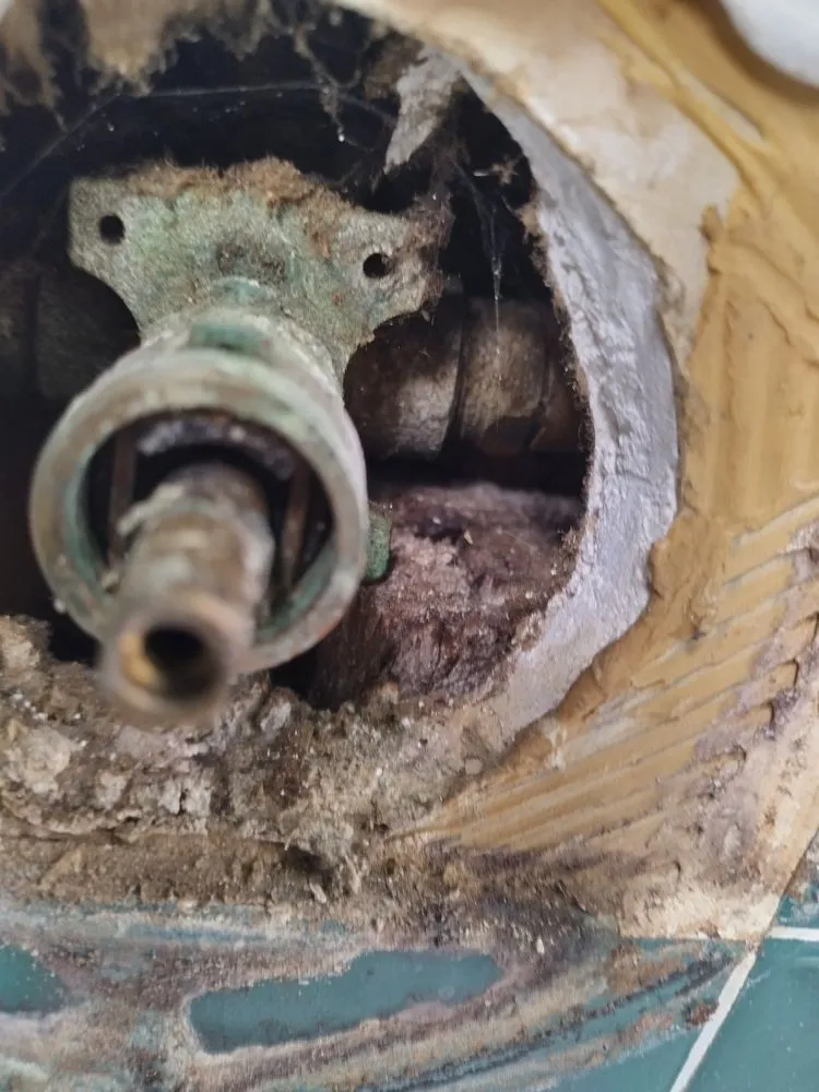 Slide of Roman Ranger