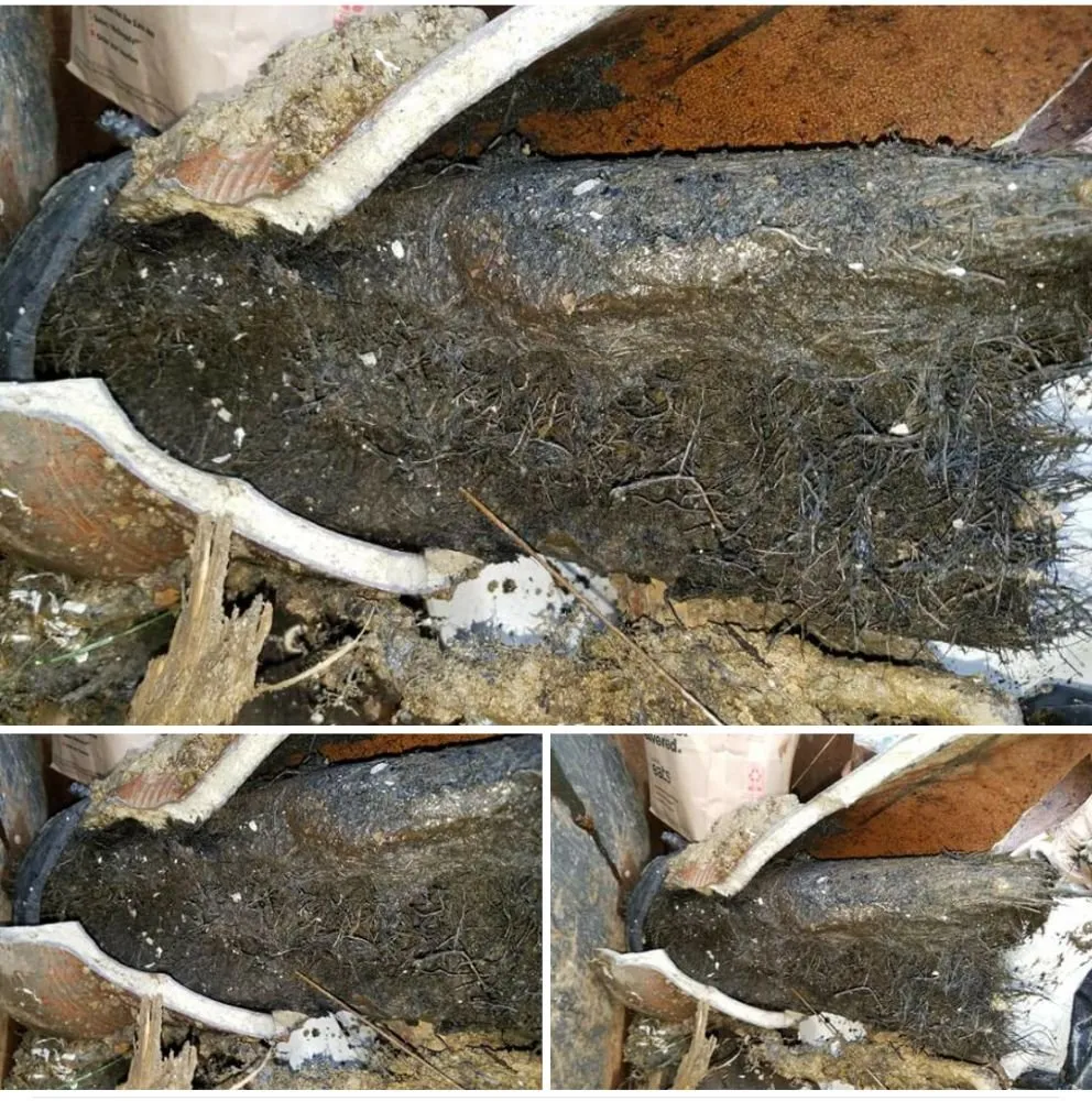 Slide of Roman Rooter Plumbing