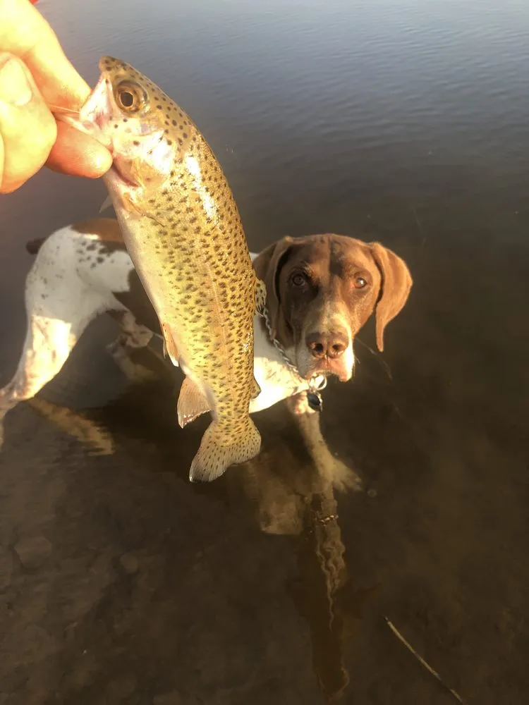 Slide of Romani Construction