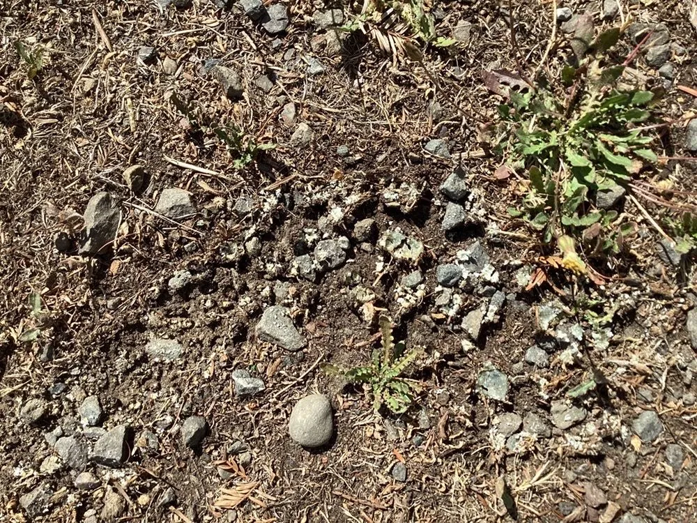 Slide of Romans Plumbing