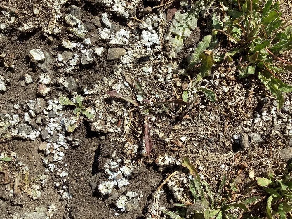 Slide of Romans Plumbing