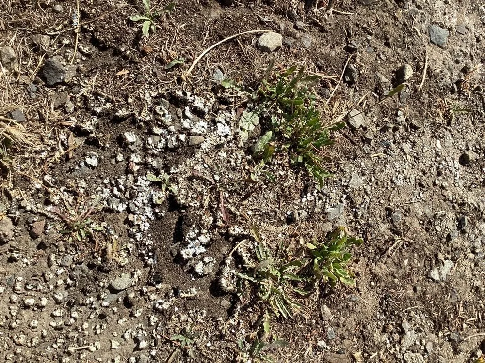 Slide of Romans Plumbing