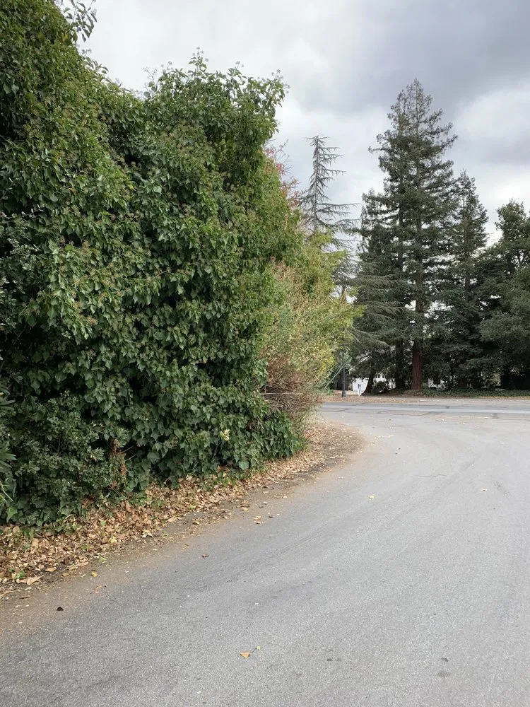 Slide of Roman's Plumbing