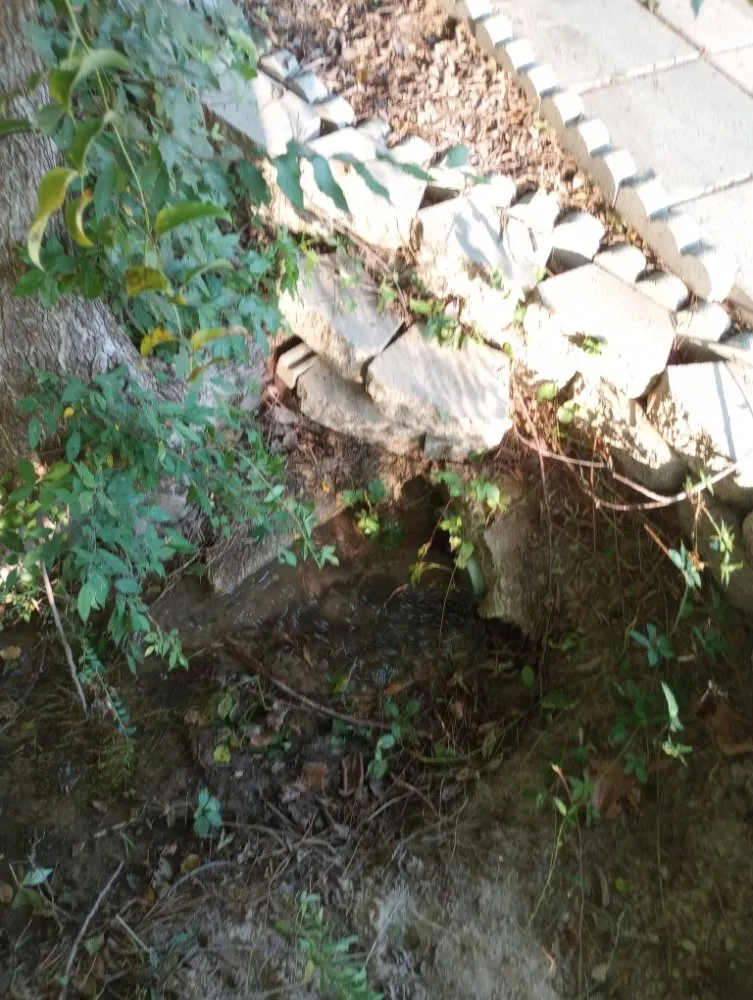 Professional emergency plumbing experts serving Grand Saline, TX - Romans repair service