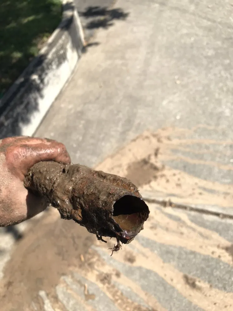 Slide of Romero Landscaping & Irrigation