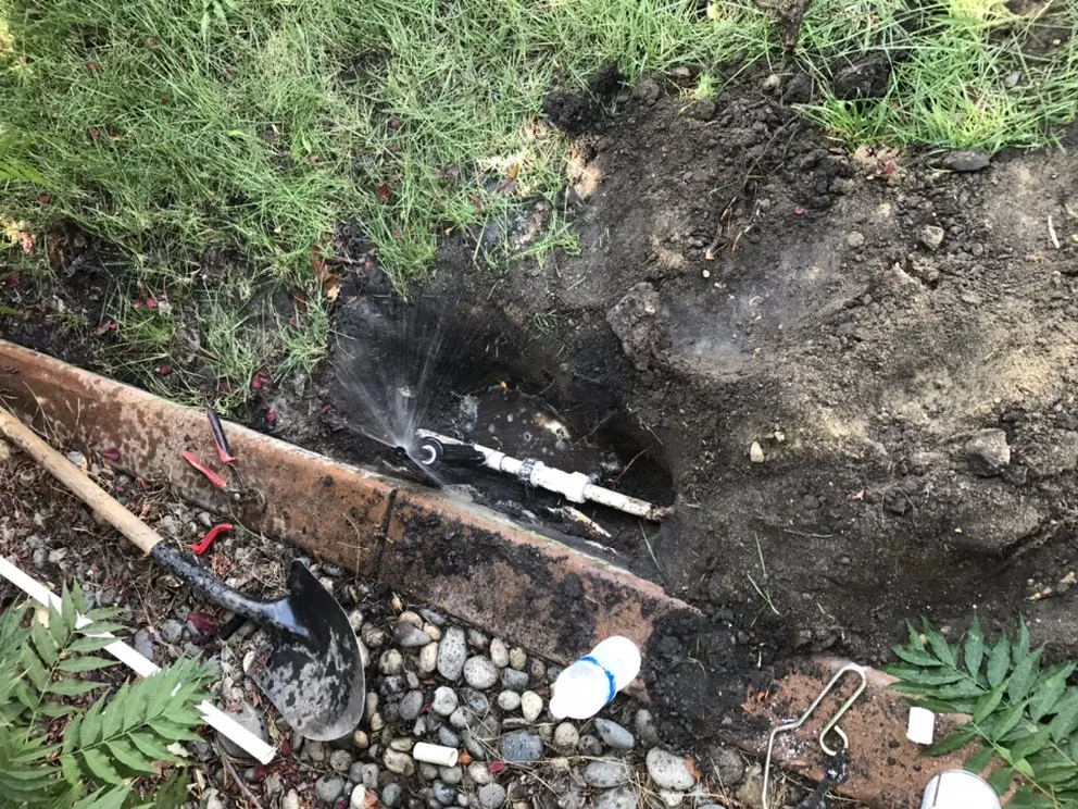 Slide of Romero Landscaping & Irrigation