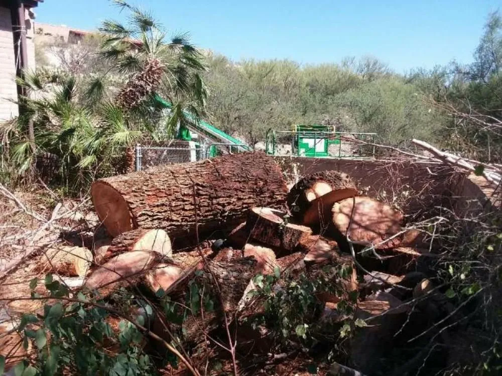 Slide of Ron P. Enterprises