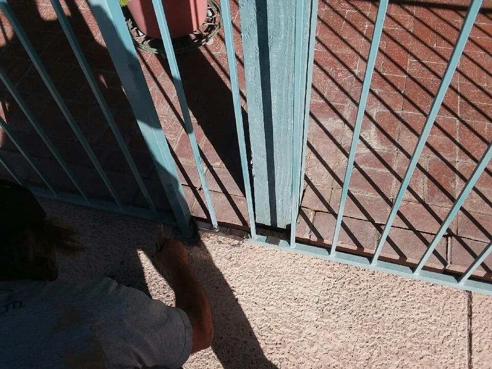 Slide of Ron P. Enterprises