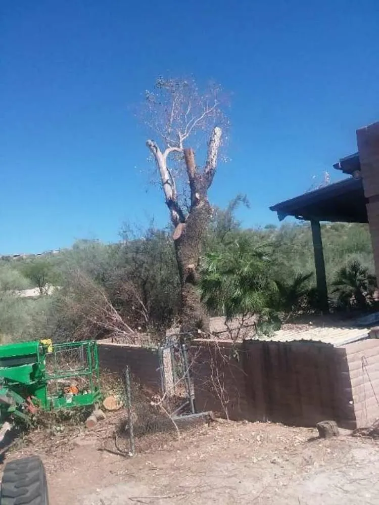 Expert drain cleaning in Tucson, AZ by Ron P. Enterprises