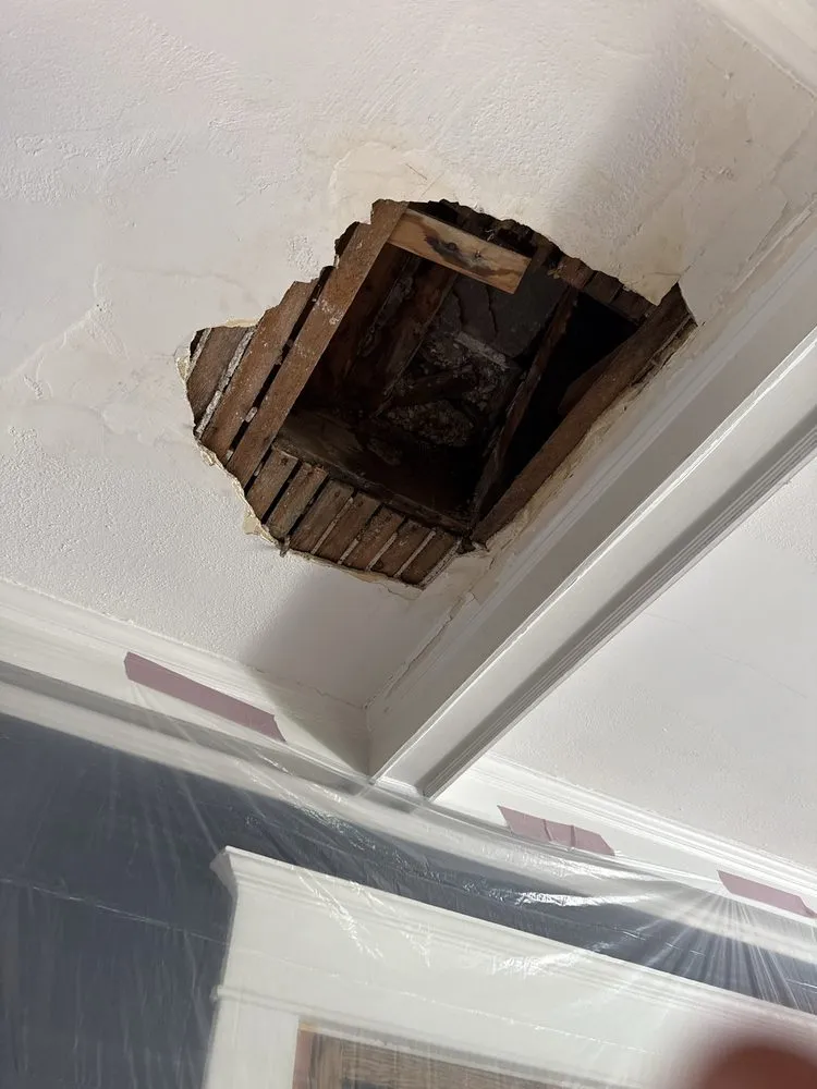 Slide of Ron the Sewer Rat