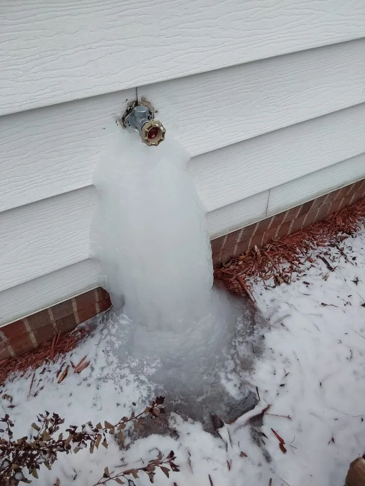 Slide of Ron the Sewer Rat