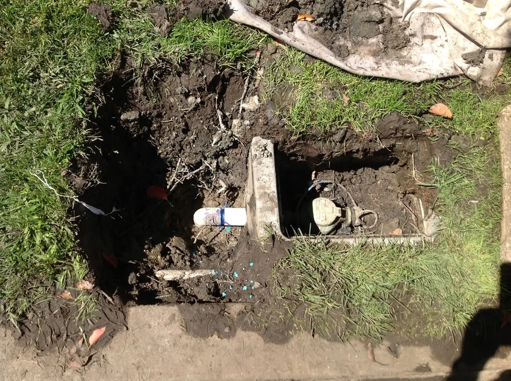 Slide of Ron Williams