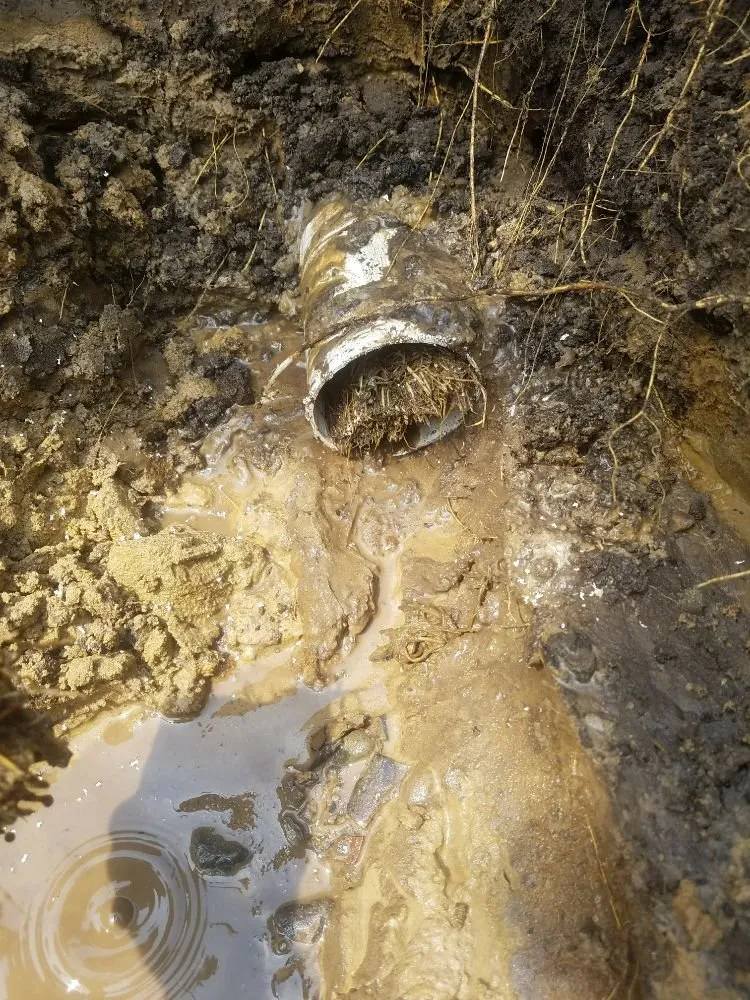 Slide of Roncelli & Son's Plumbing