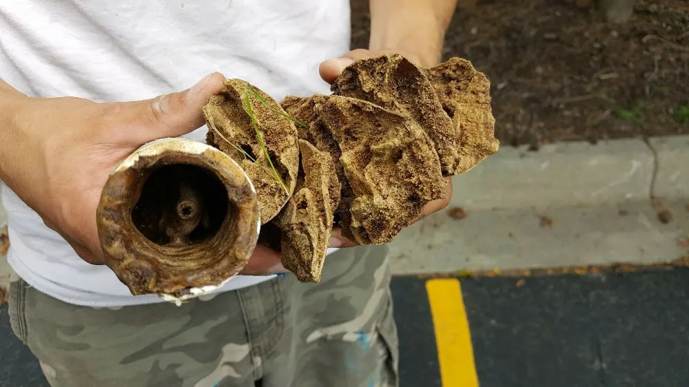 Slide of Roncelli & Son's Plumbing