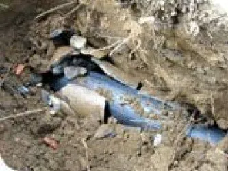 Slide of Rooney's Plumbing