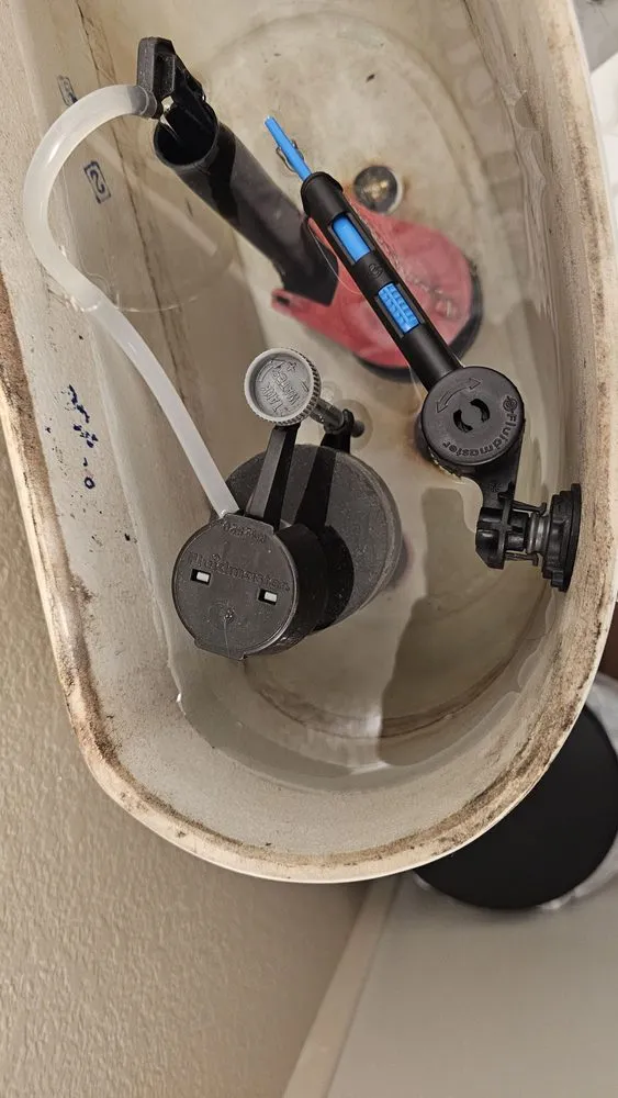 Slide of Rooster Rooter