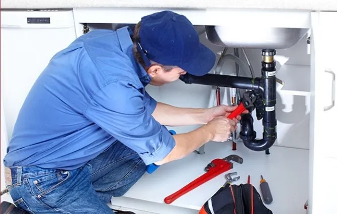 Slide of Rooster Rooter