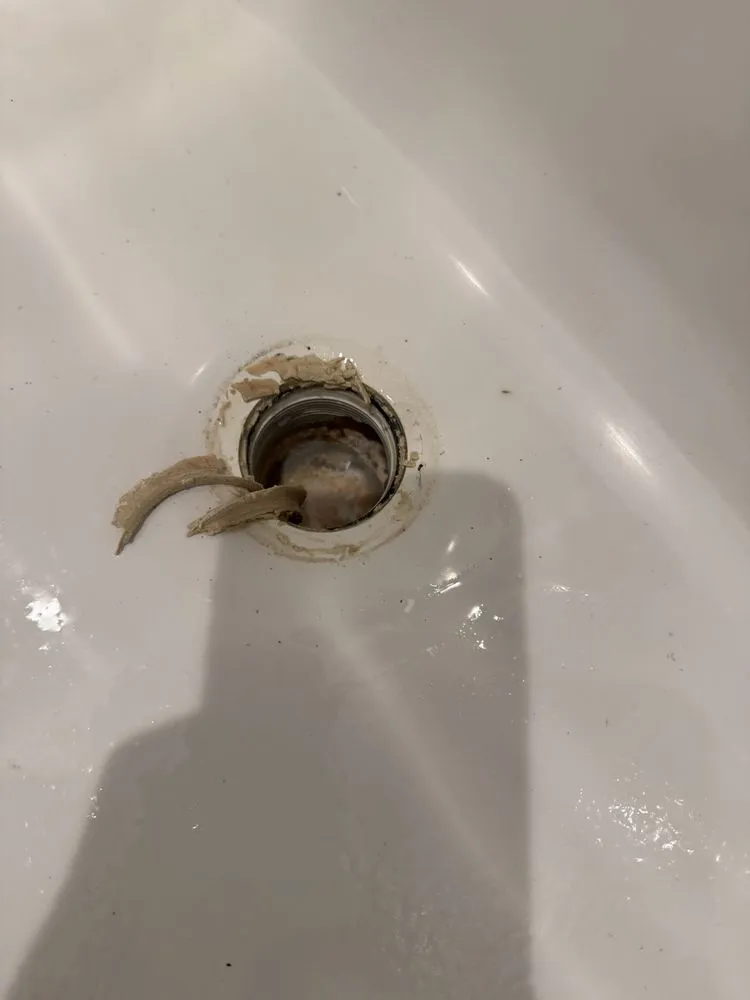 Slide of Root Busters