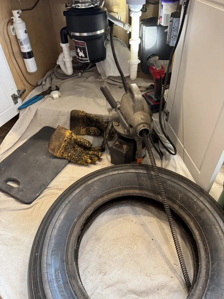 Slide of Root Busters