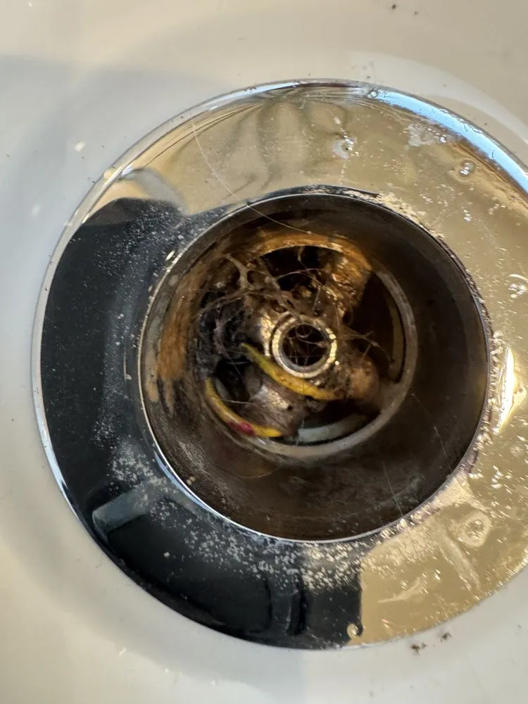 Slide of Root Busters