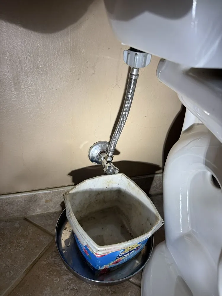 Slide of Root Busters