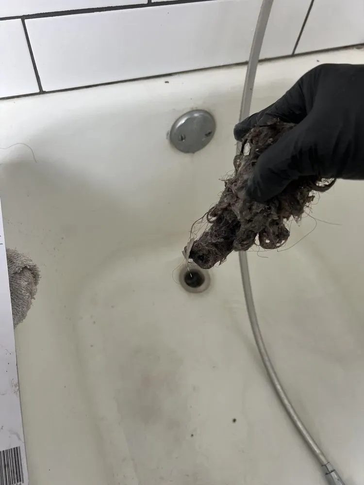 Slide of Root Busters