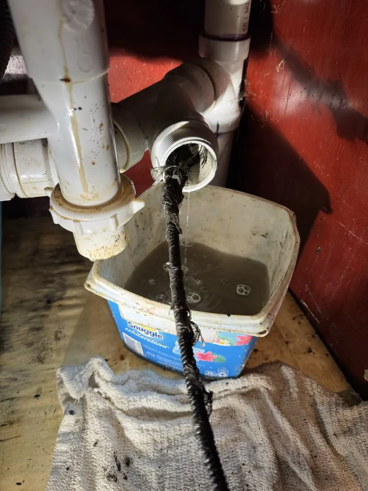 Slide of Root Busters