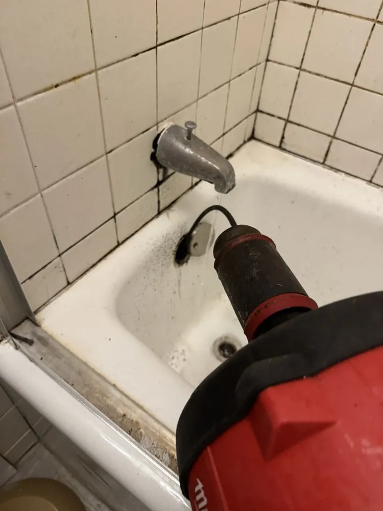 Slide of Root Busters